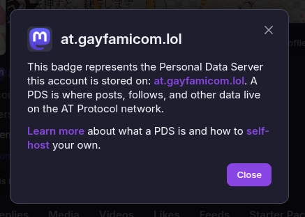 mastodon logo as my pds favicon