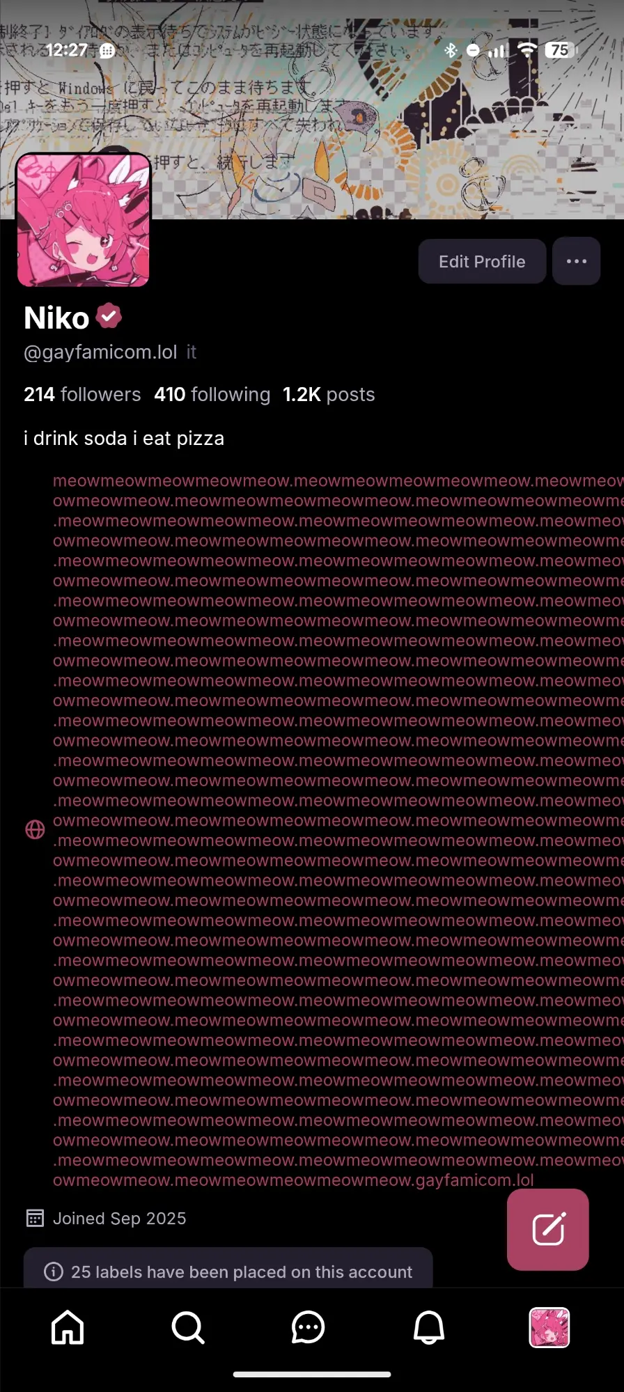 screenshot of my profile showing the website linked to my profile which is just meow repeatedly dot gayfamicom.lol