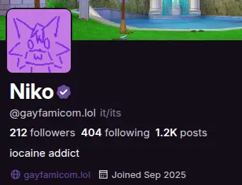 screenshot of my profile that now shows my pronouns, my website linked and when i joined on it