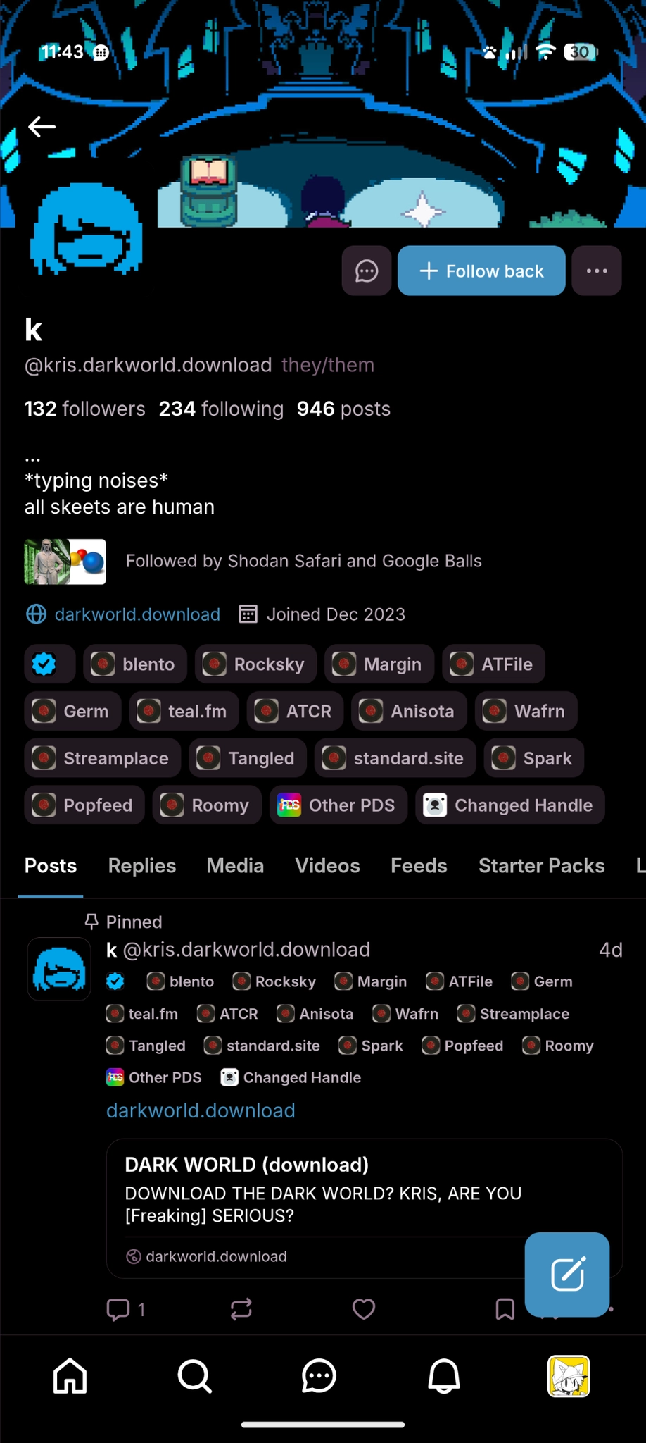 bluesky profile with the handle kris.darkworld.download