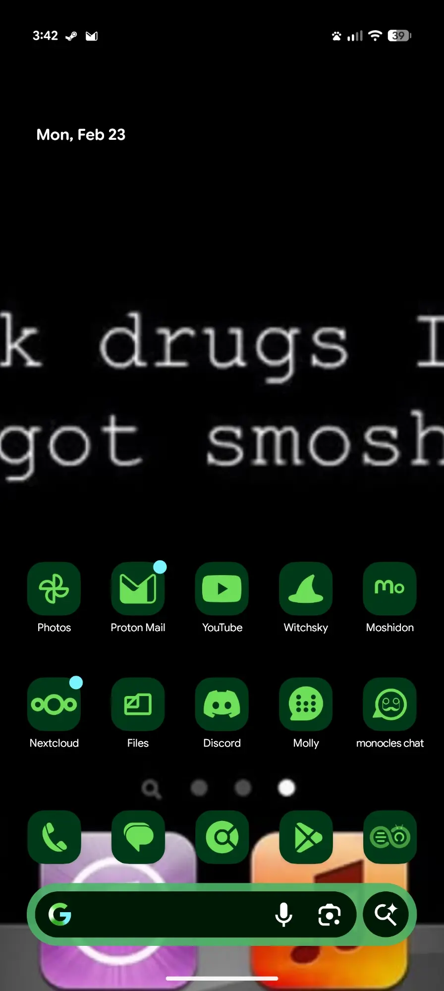the wallpaper is just an old ios screenshot of someone's home screen who's wallpaper is just text that reads "fuck drugs i've got smosh"