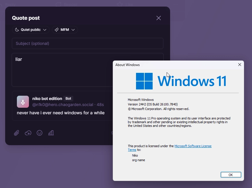 winver showing i'm running windows 11